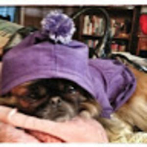 Meet your Posher, Alice